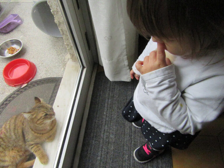 Niaouuuuuu vre gatoula !