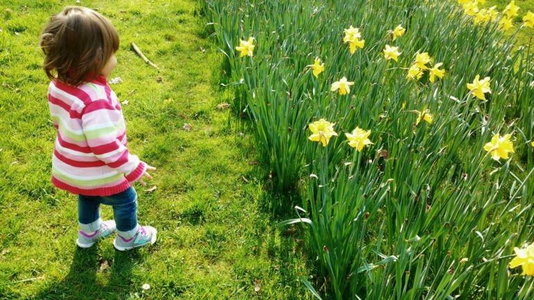 Our flower with the flowers