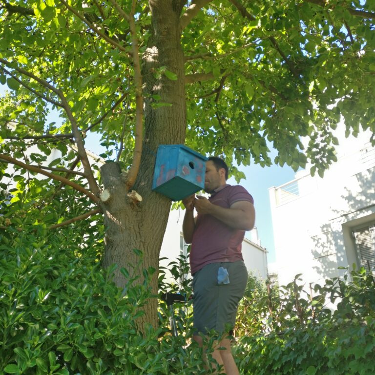 Bird house project !